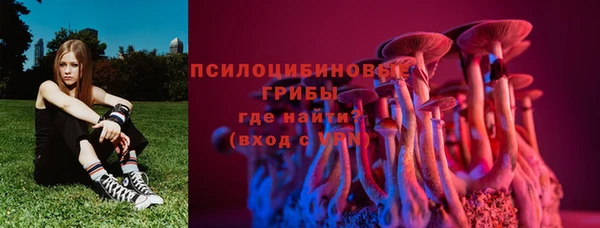 соль ск Лиски