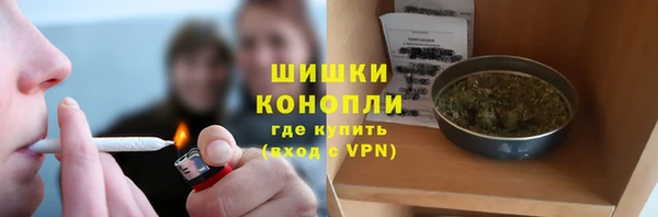 соль ск Лиски