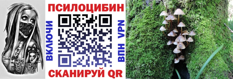 Галлюциногенные грибы GOLDEN TEACHER  MEGA ссылка  Череповец 