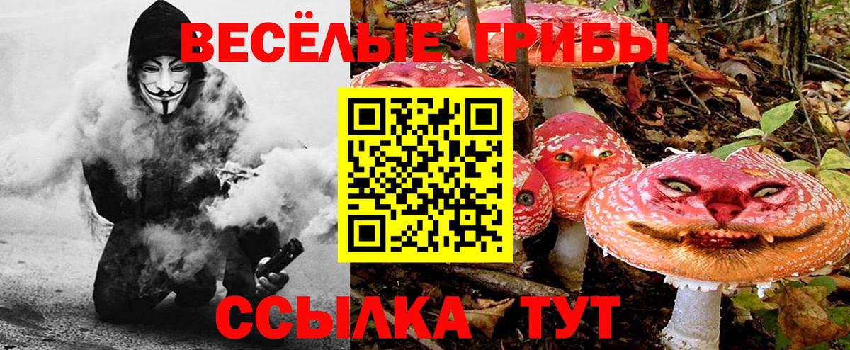 Череповец  Галлюциногенные грибы Psilocybine cubensis  Галлюциногенные грибы MAGIC MUSHROOMS  Вход с VPN 