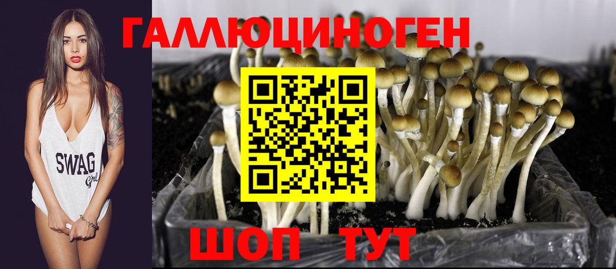 Псилоцибиновые грибы мицелий Череповец